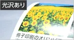 コート紙