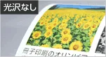 上質紙
